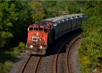 CN 331 CN 5503 West